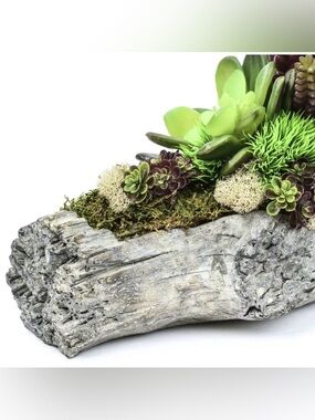 SOLD Rustic Driftwood Succulent Centerpiece - Green